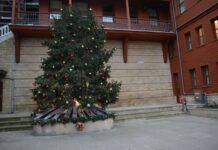 Defensive Works at the Bucoleon Palace